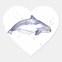 Porpoise Illustration