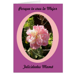 Porque eres La mejor felicidades mejor