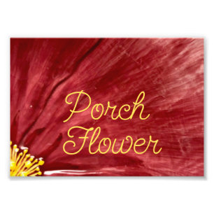 Porsche Blume / Original / Fotodruck