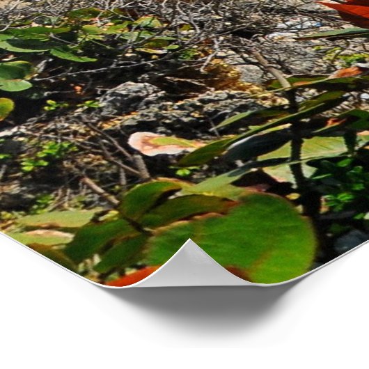 Port Antonio Jamaica Poster (Ecke)