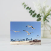 Port Aransas Beach Seagull Fotografie Hübsch Postkarte (Stehend Vorderseite)