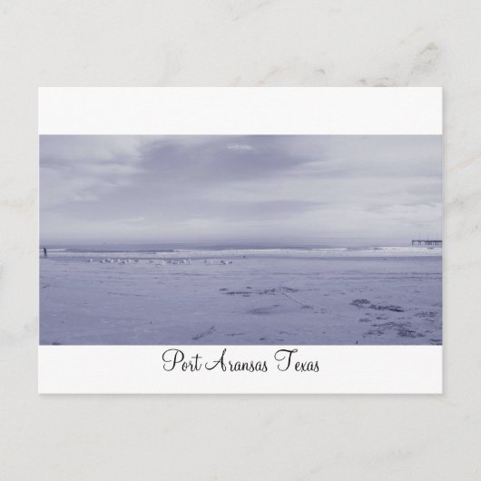 Port Aransas (Panorama) #2 Postkarte (Vorderseite)