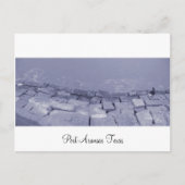 Port Aransas (Panorama) La Pesca Postcard Postkarte (Vorderseite)