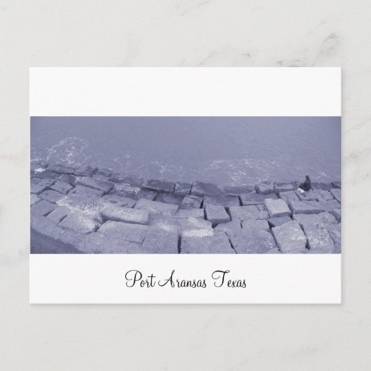 Port Aransas (Panorama) La Pesca Postcard Postkarte (Vorderseite)