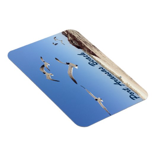 Port Aransas Seagull Fotografy Hübsch Beach Magnet (Rechte Seite)