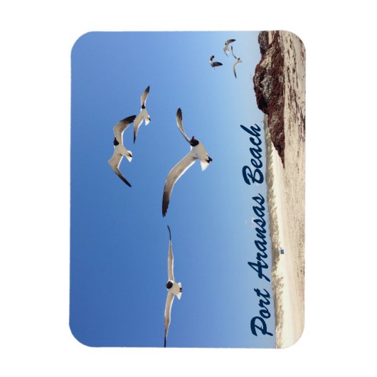 Port Aransas Seagull Fotografy Hübsch Beach Magnet (Vertikal)