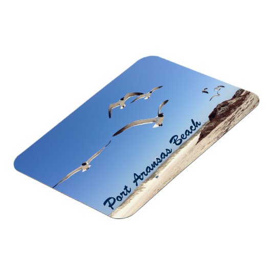 Port Aransas Seagull Fotografy Hübsch Beach Magnet (Linke Seite)