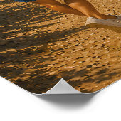 Port-Cros Poster (Ecke)