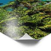 Port Douglas Fotodruck (Ecke)