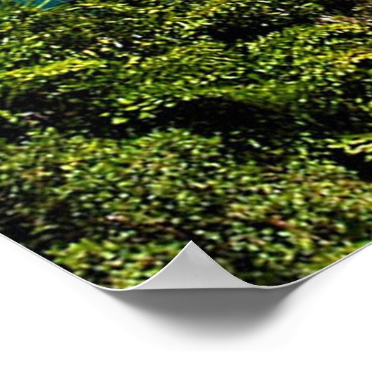 Port Douglas Poster (Ecke)