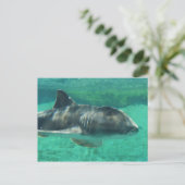 Port Jackson Shark Postkarte (Stehend Vorderseite)