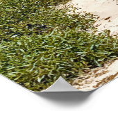 Port Kembla Wollongong Beach NSW Poster (Ecke)