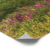 Port Orford, Poster (Ecke)
