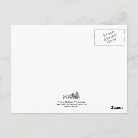 Port Townsend Postkarte (Rückseite)