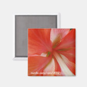 Portata Magnet (Vorderseite/Rückseite)