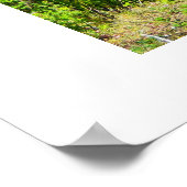 Portelet Bay, Jersey Poster (Ecke)