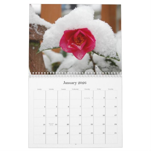 Portfolio 2009 Christophers Goettl Kalender (Jan 2026)