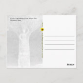 Portico der Washerwoman, Barcelona, Spanien - Postkarte (Rückseite)