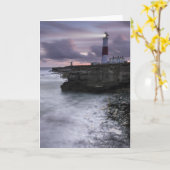 Portland Bill alles geht auf Karte (Gelbe Blume)