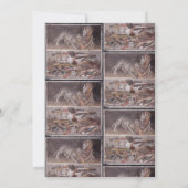 PORTLAND EINLADUNG (Rückseite)