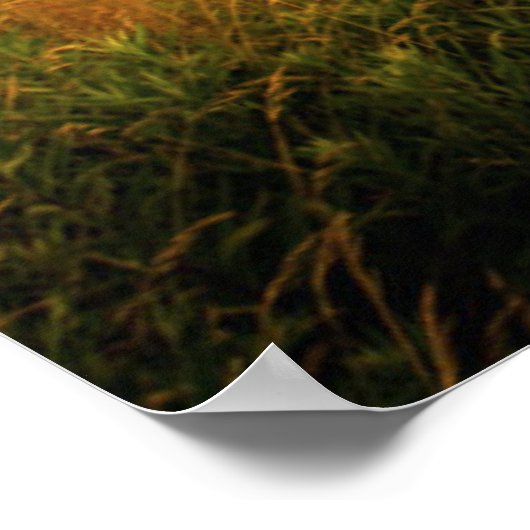 Portland Head Light | Cape Elizabeth ME Poster (Ecke)