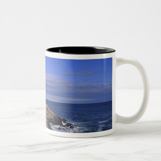Portland Head Light Lighthouse Maine Zweifarbige Tasse (Rechts)