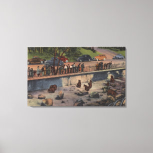 Portland, ORBear Dens in Washington Park Leinwanddruck