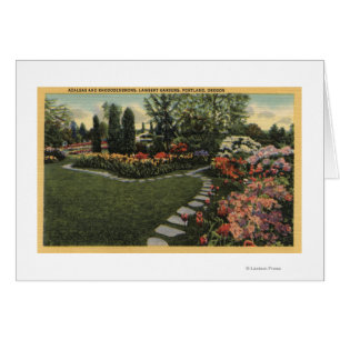 Portland, Oregon - Azaleen u. Rhododendren