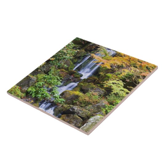 Portland, Oregon Fliese (Seite)