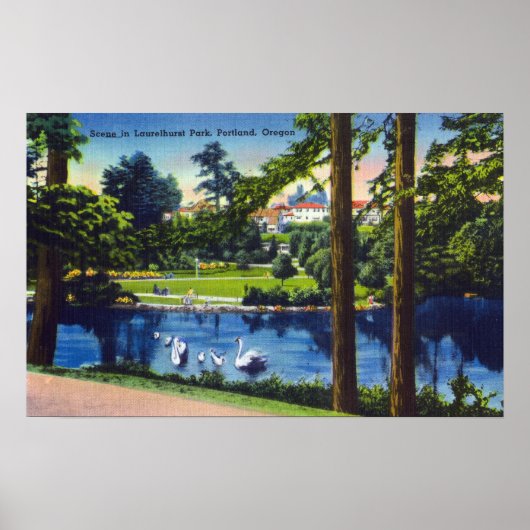 Portland, Oregon, Laurelhurst Park Scene Poster (Vorne)