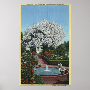 Portland, Oregon - Spanischer Pool und Ghost Tree Poster