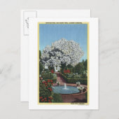 Portland, Oregon - Spanischer Pool und Ghost Tree Postkarte (Vorne/Hinten)