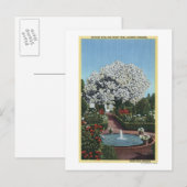 Portland, Oregon - Spanischer Pool und Ghost Tree Postkarte (Vorne/Hinten)