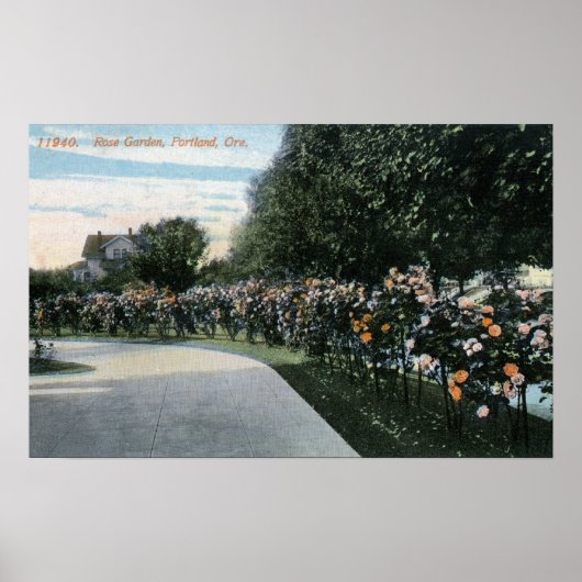 Portland, OregonAussicht auf einen Rose Garten Poster (Vorne)