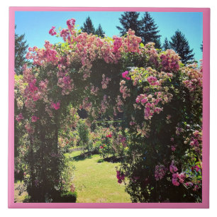 Portland Rose Garden, OR Fliese