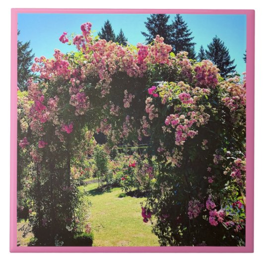 Portland Rose Garden, OR Fliese (Vorderseite)