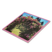 Portland Rose Garden, OR Fliese (Seite)