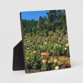 Portland Rose Garden, OR Fotoplatte (Vorderseite)