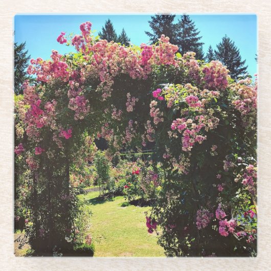Portland Rose Garden, OR Glasuntersetzer (Vorderseite)