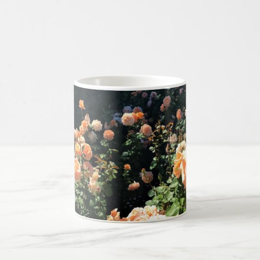 Portland Rose Garden, OR Kaffeetasse (Mittel)