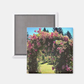 Portland Rose Garden, OR Magnet (Vorderseite/Rückseite)