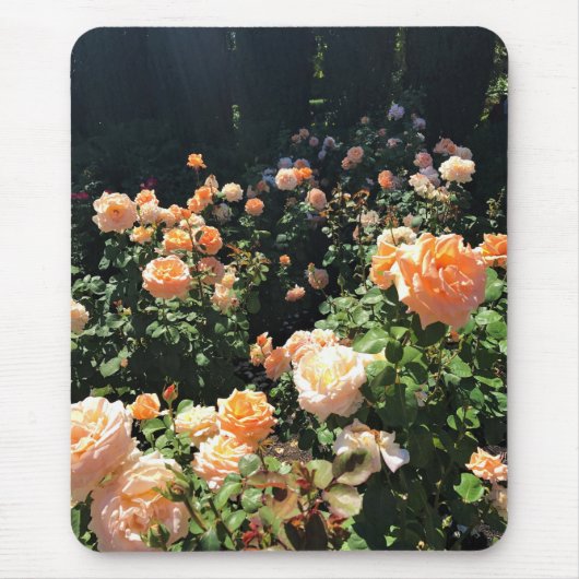 Portland Rose Garden, OR Mousepad (Vorne)
