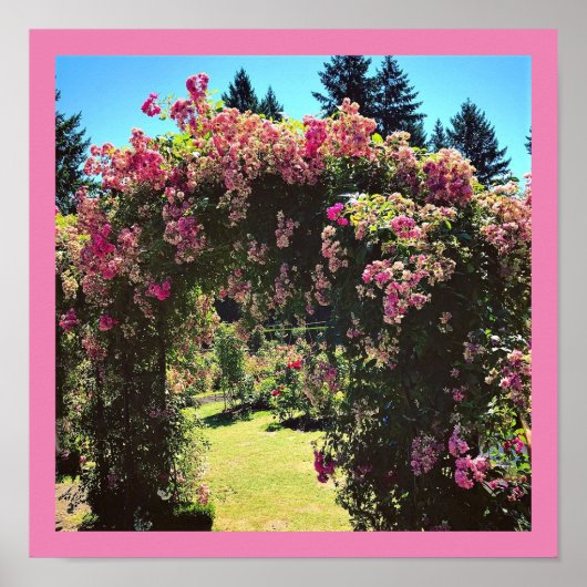 Portland Rose Garden, OR Poster (Vorne)