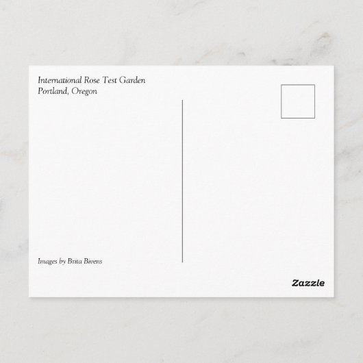 Portland Rose Garden, OR Postkarte (Rückseite)
