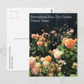 Portland Rose Garden, OR Postkarte (Vorne/Hinten)