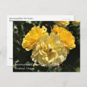 Portland Rose Garden, OR Postkarte (Vorne/Hinten)