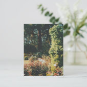 Portland Rose Garden Postkarte (Stehend Vorderseite)