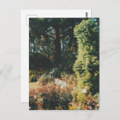 Portland Rose Garden Postkarte (Vorne/Hinten)