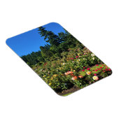 Portland Rosengarten, OR Magnet (Rechte Seite)