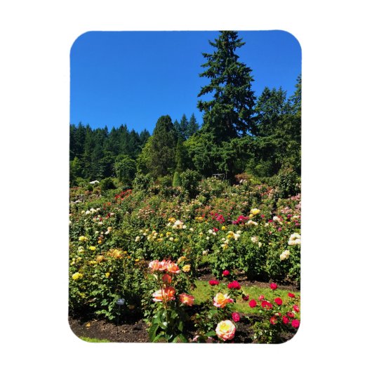 Portland Rosengarten, OR Magnet (Vertikal)